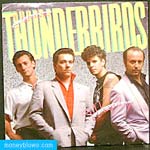 The Fabulous Thunderbirds